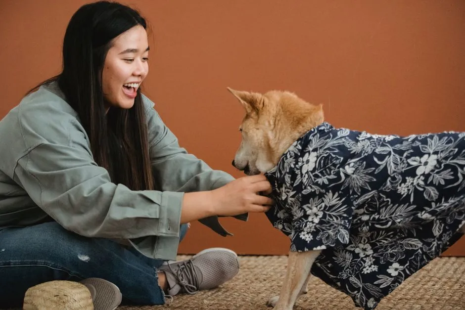 Cat Carrier Training: From Open Door to Calm Practice