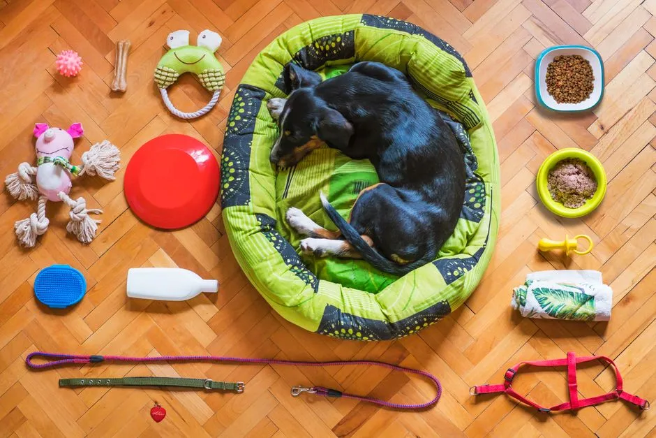 Dog Bed Buying Guide: Support, Heat, and Washability